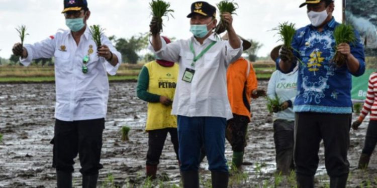 Gubernur mendukung penganekaragaman pangan lokal
