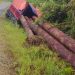 DPRD Gumas Pertanyakan Izin Angkutan Kayu Log Truk Fuso L 8531 UM