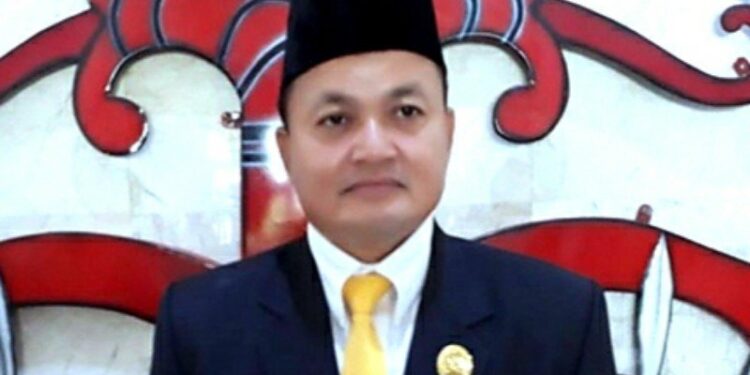 Ketua DPRD Kabupaten Kapuas, Ardiansah. (ANT/Dokumentasi Pribadi)