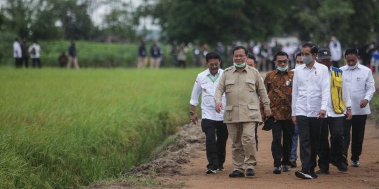 Ilustrasi: Presiden Joko Widodo (ketiga kanan) didampingi Menteri Pertahanan Prabowo Subianto (kedua kiri) Kepala Staf Kepresidenan Moeldoko (tengah), Menteri Pertanian Syahrul Yasin Limpo (kiri) dan Menteri PUPR Basuki Hadimuljono (kedua kanan) meninjau kesiapan lahan pertanian yang akan dijadikan pengembangan 'food estate' di Desa Belanti Siam, Kabupaten Pulang Pisau, Kalimantan Tengah, Kamis (9/7/2020). . ANTARA FOTO/Makna Zaezar/aww.