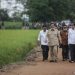 Ilustrasi: Presiden Joko Widodo (ketiga kanan) didampingi Menteri Pertahanan Prabowo Subianto (kedua kiri) Kepala Staf Kepresidenan Moeldoko (tengah), Menteri Pertanian Syahrul Yasin Limpo (kiri) dan Menteri PUPR Basuki Hadimuljono (kedua kanan) meninjau kesiapan lahan pertanian yang akan dijadikan pengembangan 'food estate' di Desa Belanti Siam, Kabupaten Pulang Pisau, Kalimantan Tengah, Kamis (9/7/2020). . ANTARA FOTO/Makna Zaezar/aww.