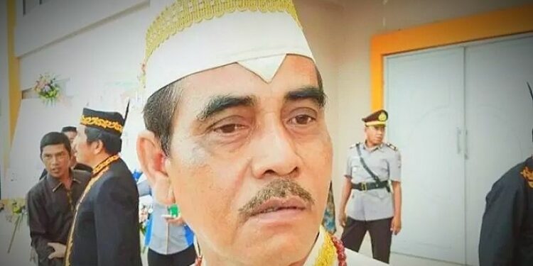 Juru Bicara Fraksi Gerakan Demokrat Persatuan (GDP) DPRD Kabupaten Pulang Pisau, Edvin Mandala. (ANT)