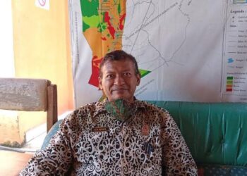 Kepala Badan Penanggulangan Bencana Daerah (BPBD) Barito Selatan, Alip Suraya. (ANT)
