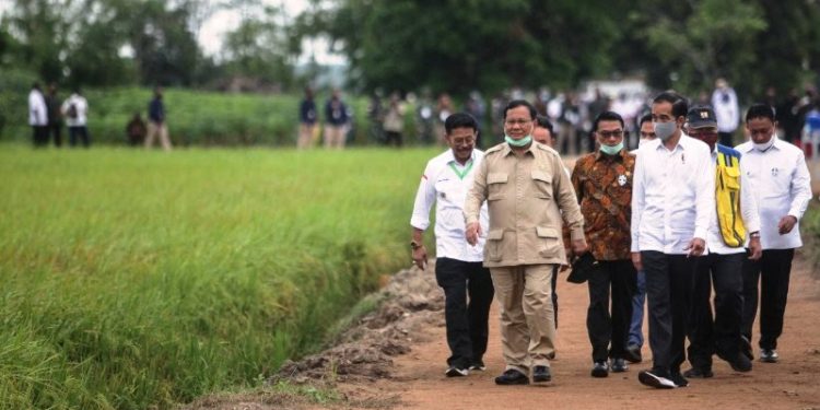 Foto Dokumentasi - Presiden Joko Widodo (ketiga kanan) didampingi Menteri Pertahanan Prabowo Subianto (kedua kiri) Kepala Staf Kepresidenan Moeldoko (tengah), Menteri Pertanian Syahrul Yasin Limpo (kiri) dan Menteri PUPR Basuki Hadimuljono (kedua kanan) meninjau kesiapan lahan pertanian yang akan dijadikan pengembangan 'food estate' di Desa Belanti Siam, Kabupaten Pulang Pisau, Kalimantan Tengah, Kamis (9/7/2020). Dalam kunjungan tersebut, presiden menyatakan rencana tahun ini di Kabupaten Kapuas dan Pulang Pisau akan diselesaikan kurang lebih 30 ribu hektare lahan kemudian dalam 1,5 sampai maksimal 2 tahun akan ditambah lagi 148 ribu hektare untuk lumbung pangan nasional baru di daerah tersebut. Pengembangan itu guna mewujudkan ketahanan pangan nasional dan mengantisipasi krisis pangan dunia. ANTARA FOTO/Makna Zaezar/aww. (ANTARA FOTO/Makna Zaezar)