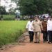 Foto Dokumentasi - Presiden Joko Widodo (ketiga kanan) didampingi Menteri Pertahanan Prabowo Subianto (kedua kiri) Kepala Staf Kepresidenan Moeldoko (tengah), Menteri Pertanian Syahrul Yasin Limpo (kiri) dan Menteri PUPR Basuki Hadimuljono (kedua kanan) meninjau kesiapan lahan pertanian yang akan dijadikan pengembangan 'food estate' di Desa Belanti Siam, Kabupaten Pulang Pisau, Kalimantan Tengah, Kamis (9/7/2020). Dalam kunjungan tersebut, presiden menyatakan rencana tahun ini di Kabupaten Kapuas dan Pulang Pisau akan diselesaikan kurang lebih 30 ribu hektare lahan kemudian dalam 1,5 sampai maksimal 2 tahun akan ditambah lagi 148 ribu hektare untuk lumbung pangan nasional baru di daerah tersebut. Pengembangan itu guna mewujudkan ketahanan pangan nasional dan mengantisipasi krisis pangan dunia. ANTARA FOTO/Makna Zaezar/aww. (ANTARA FOTO/Makna Zaezar)