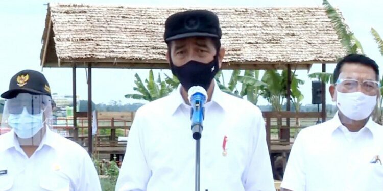 Gambar tangkapan layar Presiden Joko Widodo menyampaikan keterangan pers secara daring terkait peninjauan di kawasan food estate, Pulang Pisau, Kamis, (8/10/2020). (ANT)