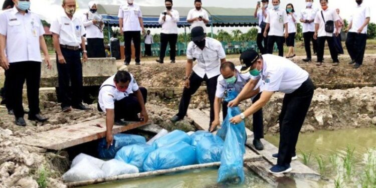Peluncuran Program Mina Padi di Lamandau, Rabu, (14/10/2020). (ANT)