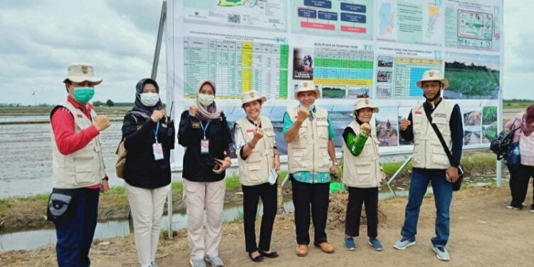 Tim dari UPT Balai Perlindungan Tanaman Pangan dan Hortikultura (BPTPH) Kalimantan Tengah melakukan peninjauan ke kawasan pertanian di wilayah Pulang Pisau beberapa waktu lalu. (ANT/IST)