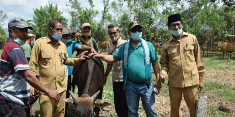 Plt Gubernur Kalteng Habib Ismail Bin Yahya (dua dari kanan) mengunjungi kawasan pertanian dan peternakan di Kabupaten Dompu, NTB, Selasa, (27/10/2020). (ANT/IST)
