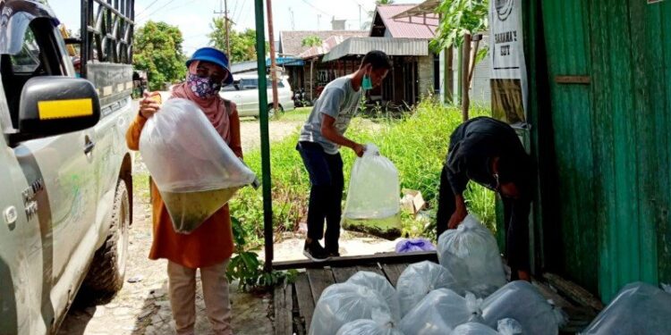 Dinas Perikanan Kabupaten Kapuas menyalurkan bantuan benih ikan Lele kepada kelompok pembudidaya ikan di daerah setempat. (ANT/IST)