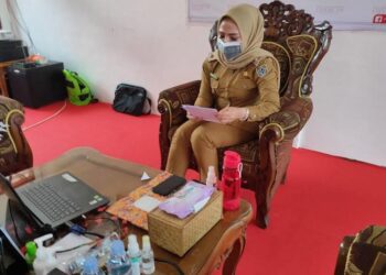 Wakil Bupati Seruyan Iswanti saat menyampaikan penyempurnaan hasil evaluasi Raperda Perubahan APBD Seruyan 2020 di Kuala Pembuang, Selasa (20/10/2020). (ANT/IST)