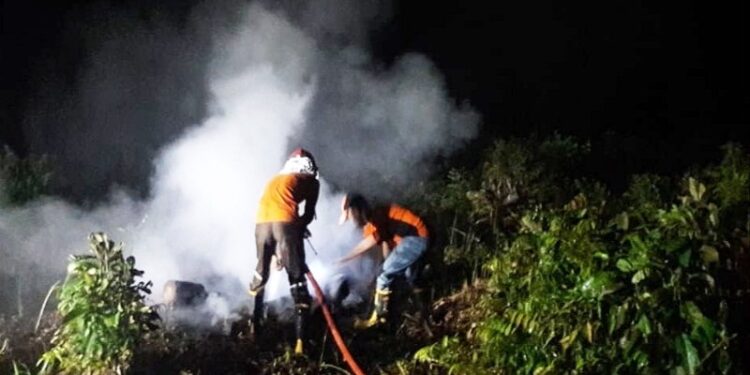 Pemadaman kebakaran lahan di Desa Pulau Telo Kecamatan Selat Kota Kuala Kapuas Kabupaten Kapuas, beberapa waktu lalu. (ANT/IST)
