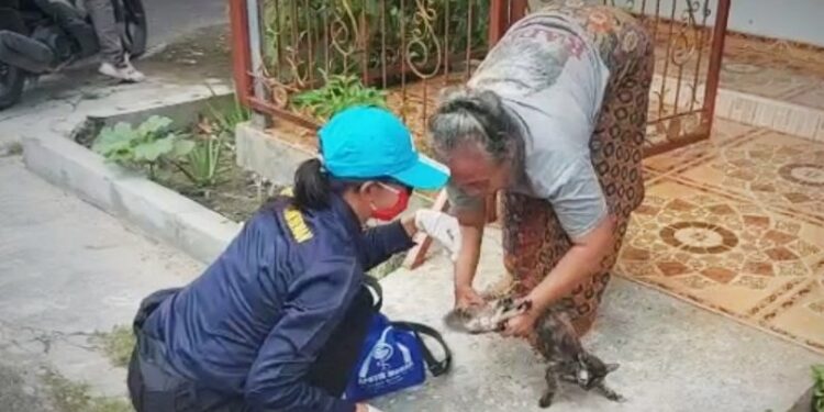Petugas kesehatan hewan Dinas Pertanian Kabupaten Kapuas, melakukan penyuntikan vaksin rabies terhadap hewan peliharaan warga setempat, Kamis (8/10/2020). (ANT)