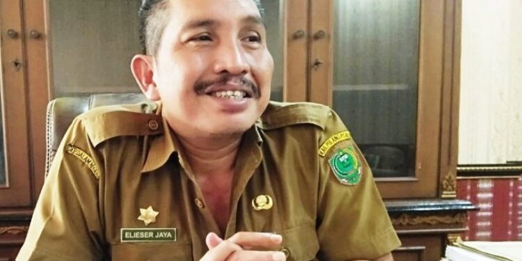 Ketua Bidang Pemulihan Ekonomi Satuan Tugas (Satgas) Penanganan COVID-19 Kabupaten Pulang Pisau, Elieser Jaya. (ANT)