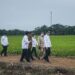 Arsip-Presiden Joko Widodo (kanan) didampingi Menteri Pertahanan Prabowo Subianto (kedua kanan), Kepala Staf Kepresidenan Moeldoko (tengah, Menteri Pertanian Syahrul Yasin Limpo (kiri) dan Gubernur Kalimantan Tengah Sugianto Sabran (ketiga kanan) meninjau kesiapan lahan pertanian yang akan dijadikan pengembangan 'food estate' di Desa Belanti Siam, Kabupaten Pulang Pisau, Kalimantan Tengah, Kamis (9/7/2020). (ANT)
