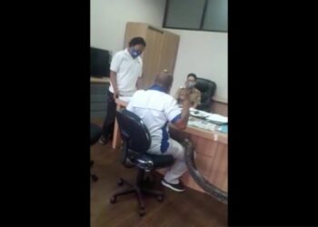 Seorang pria berinisial JH membawa ular piton saat minta jatah proyek ke Dinas PUPR Kabupaten Bandung Barat. (ANT/IST)