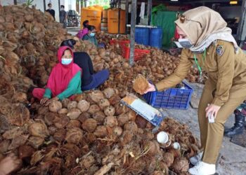 Wakil Bupati Seruyan Iswanti saat kunjungan kerja di tempat pengolahan virgin coconut oil di desa Sebamban, kecamatan Mentaya Hilir Selatan, Kotawaringin Timur, baru-baru ini. (ANT/Dokumentasi Pribadi)