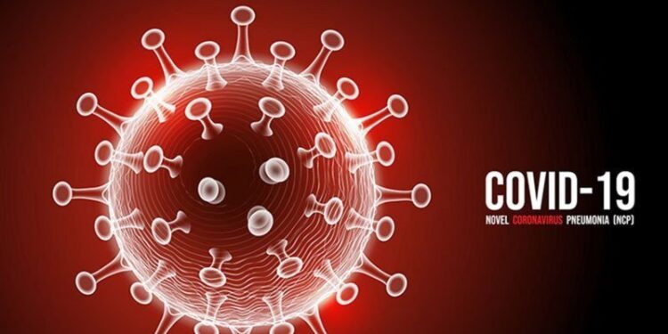 Corona Virus (ilustrasi). (ANT)