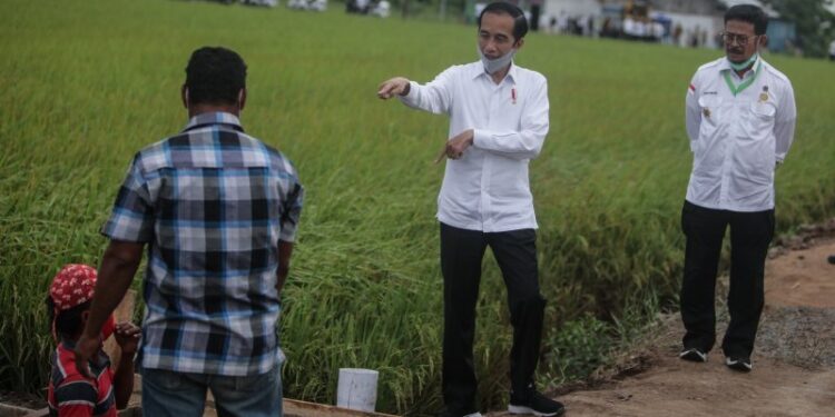 Ilustrasi: Presiden Joko Widodo (kedua kanan) didampingi Menteri Pertanian Syahrul Yasin Limpo (kanan) meninjau kesiapan irigasi lahan pertanian yang akan dijadikan pengembangan 'food estate' di Desa Belanti Siam, Kabupaten Pulang Pisau, Kalimantan Tengah, Kamis (9/7/2020). (ANT)
