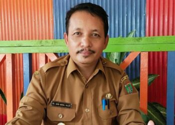 Wakil Bupati Barito Timur, Habib Said Abdul Saleh Al Qadry. (ANT)