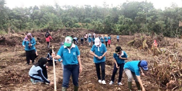 Siswa SMK Negeri 1 Bulik manfaatkan lahan kosong untuk menanam jagung di Nanga Bulik, Kamis, (5/11/2020). (ANT)