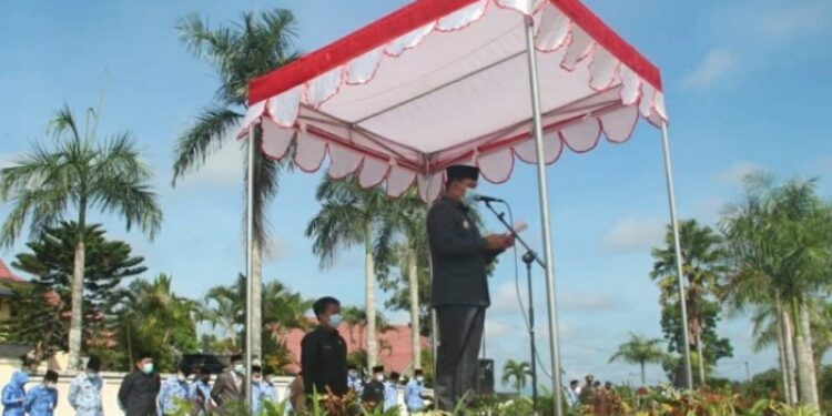 Bupati Lamandau Hendra Lesmana dalam upacara peringatan Hari Pahlawan, Nanga Bulik, Selasa, (10/11/2020). (ANT/IST)