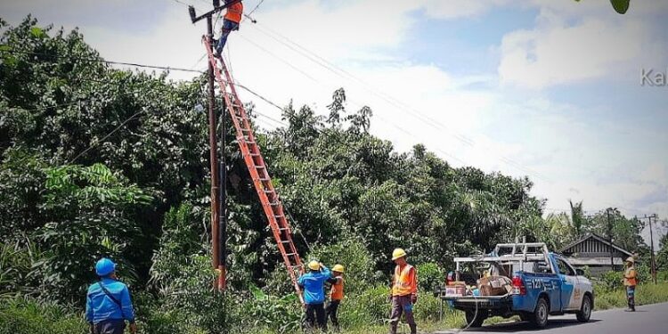 Petugas PT PLN saat melakukan pemeliharaan jaringan. (ANT/IST)