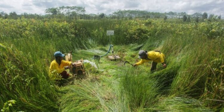 Foto Dokumentasi - Relawan Masyarakat Peduli Api (MPA) melakukan proses pembasahan pada lahan gambut menggunakan air sumur bor di Desa Pangkoh Sari, Kabupaten Pulang Pisau, Senin, (21/9/2020). (ANT/IST)