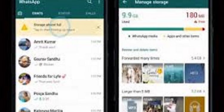 Antarmuka pengelolaan penyimpanan di WhatsApp. (ANT/WA)