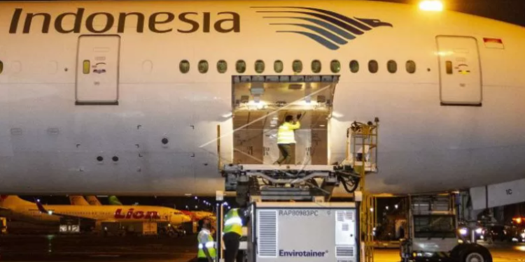 Petugas menurunkan kontainer berisi vaksin COVID-19 saat tiba di Bandara Soekarno-Hatta, tangerang, Banten, Minggu (6/12/2020). Sebanyak 1,2 juta dosis vaksin COVID-19 buatan perusahaan farmasi Sinovac, China, tiba di tanah air untuk selanjutnya akan diproses lebih lanjut ke Bio Farma selaku BUMN produsen vaksin. (ANT)