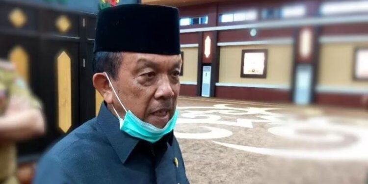 Wakil Ketua DPRD Kalteng Abdul Razak. (ANT)