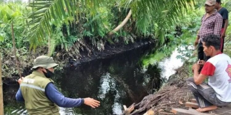 Komandan Jaga BKSDA Kalteng Pos Sampit, Muriansyah memeriksa lokasi buaya menyerang seorang bocah di Sungai Hambawang Desa Ganepo Kecamatan Seranau, Kamis (31/12/2020) lalu. (ANT/IST)