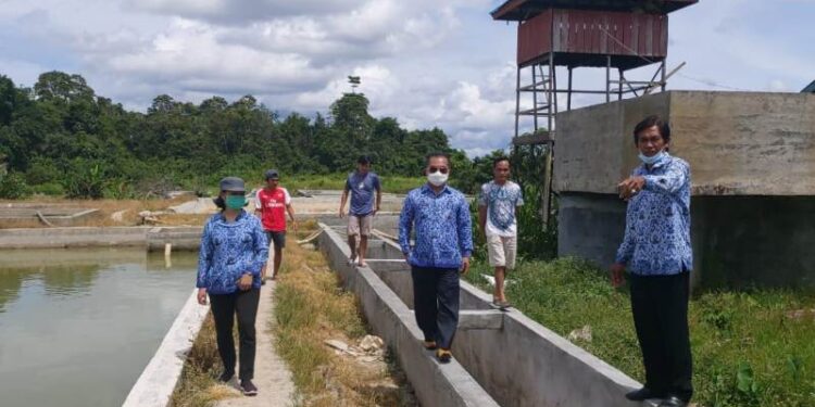 Kepala DPKP Gumas Letus Guntur (tengah) dan lainnya saat memantau BBI Tewah di Kecamatan Tewah, tahun 2020 lalu. (ANT/IST)