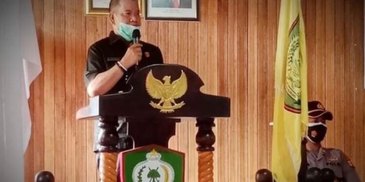 Anggota DPRD Kotawaringin Timur, Juliansyah. (IST)