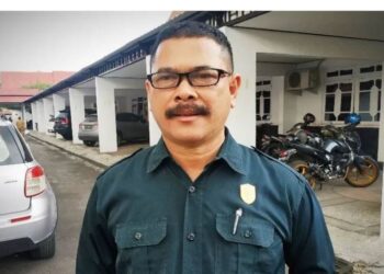 Anggota DPRD Kabupaten Kotim, Ardiansyah. (IST)