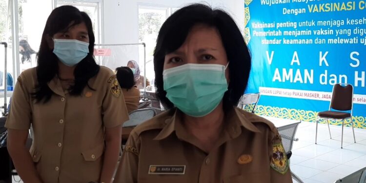 Kepala Dinas Kesehatan Gumas, Maria Efianti.