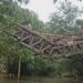 Kondisi Jembatan Patangoi di Kecamatan Damang Batu, Kabupaten Gumas. (IST)