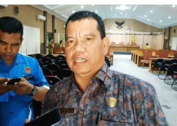 Anggota DPRD Kabupaten Kotim Juliansyah. (IST)