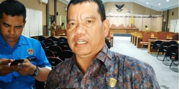 Anggota DPRD Kabupaten Kotim Juliansyah. (IST)