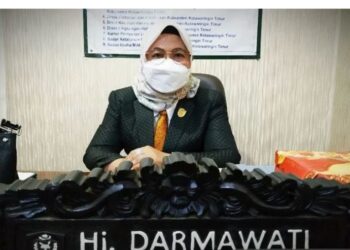 Anggota DPRD Kabupaten Kotim, Hj Darmawati. (IST)