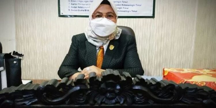 Anggota DPRD Kabupaten Kotim, Hj Darmawati. (IST)