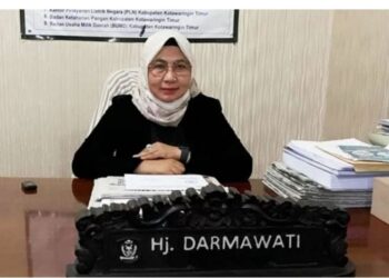 Anggota DPRD Kabupaten Kotim, Hj Darmawati. (IST)