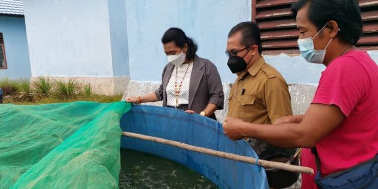 Legislator Gumas Rayaniatie Djangkan (kiri) bersama Kepala DPKP Gumas Letus Guntur (tengah) dan lainnya melihat kolam ikan dari terpal di wilayah Kecamatan Kurun, baru-baru ini. (Foto : DPKP Kabupaten Gumas)