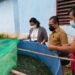 Legislator Gumas Rayaniatie Djangkan (kiri) bersama Kepala DPKP Gumas Letus Guntur (tengah) dan lainnya melihat kolam ikan dari terpal di wilayah Kecamatan Kurun, baru-baru ini. (Foto : DPKP Kabupaten Gumas)