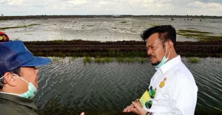 Mentan RI Syahrul Yasin Limpo (kanan) saat meninjau kawasan food estate Pulang Pisau-Kapuas, Rabu (16/12/2020). (ANT/IST)