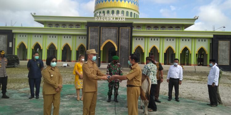 Bupati Gumas Jaya S Monong didampingi Wabup Efrensia L.P Umbing menyalurkan bantuan sapi kurban secara simbolis, yang diterima oleh Ketua DMI Gumas HM Rusdi, di halaman Masjid Darun Najah Kuala Kurun, Senin (19/7/2021). (IST)