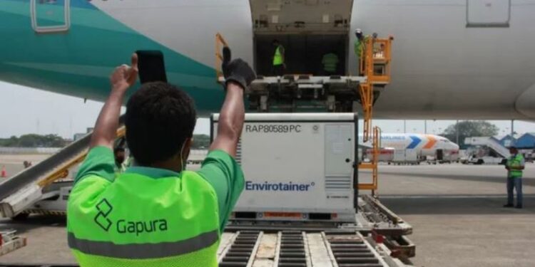 Petugas Bandara Soekarno-Hatta Tangerang, Banten, mengeluarkan kontainer berisi vaksin COVID-19 dari bagasi pesawat, Kamis 19/8/2021). (ANT/IST)