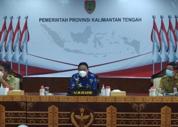 Wagub Kalteng Apresiasi Peluncuran Sistem OSS Berbasis Risiko