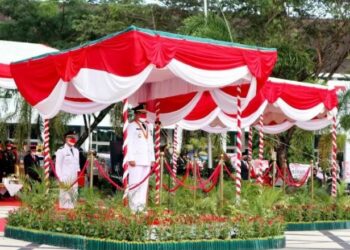 Wagub Kalteng Edy Pratowo saat upacara peringatan HUT Kemerdekaan RI, Palangka Raya, Selasa, (17/8/2021). (ANT)