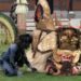 Pagelaran tari tradisional Bali. (MASAPNEWS/ANT/MSI)